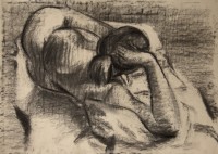 /album/fotogalerie-kresba1/web4-jpg/